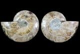 Cut/Polished Ammonite Pair - Crystal Fill Chambers #79151-1